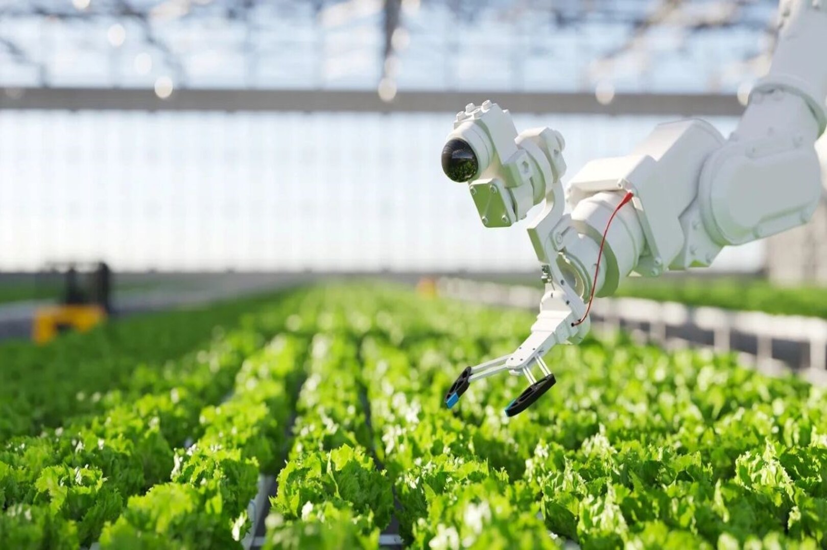 Ghana to link more than 70,000 farmers to agricultural technologies and regional suppliers